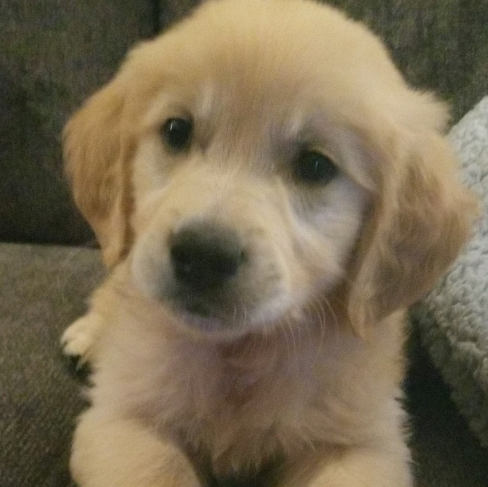 Meet your Posher, Hope